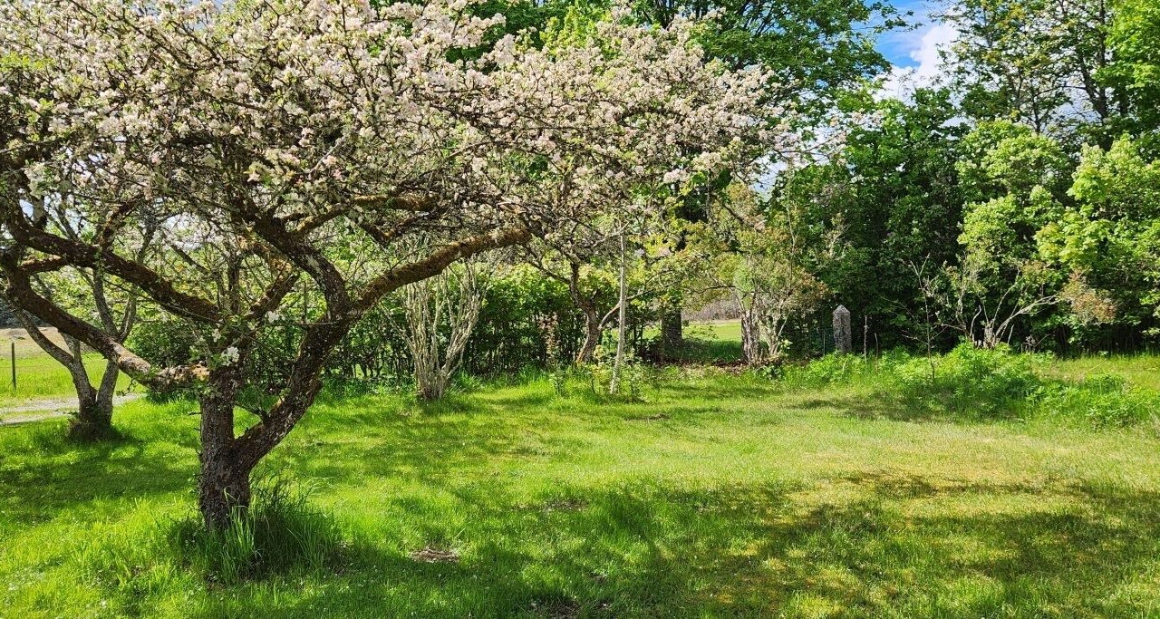 Photo of Outdoor in Lonashult