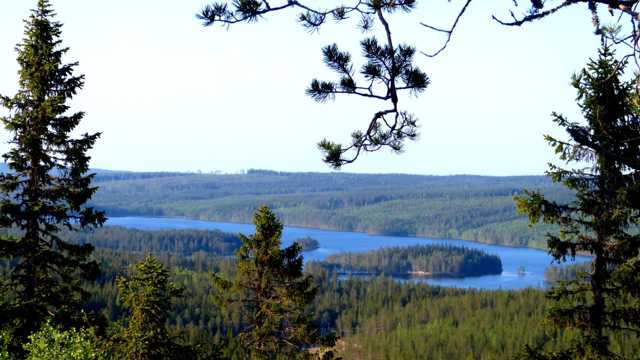 Photo of Others in Liden