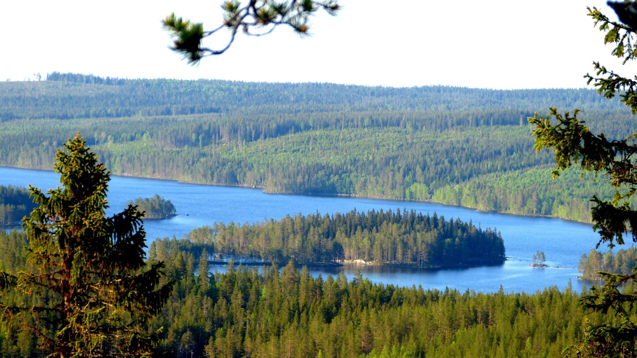Photo of Outdoor in Liden