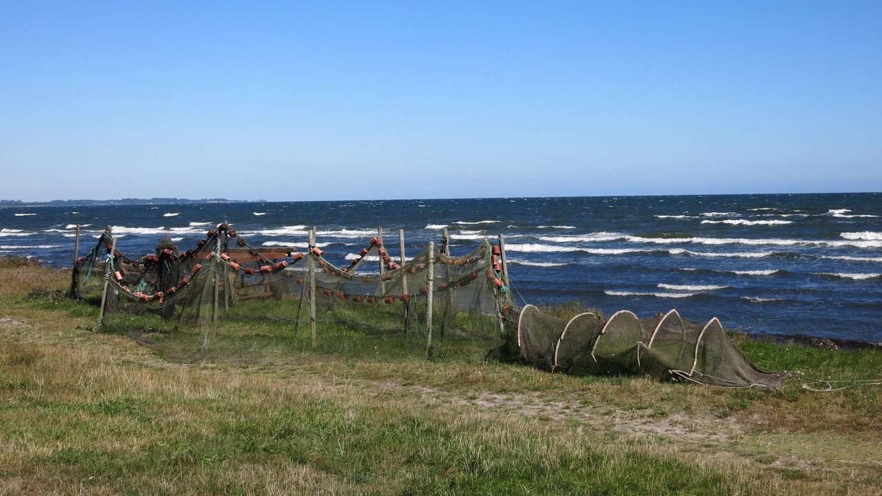 Photo of Others in Beddingestrand