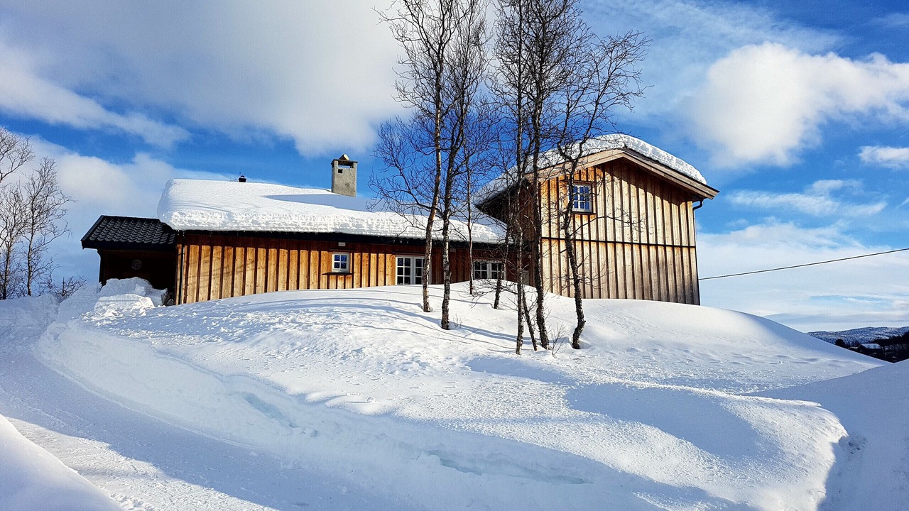 Photo of Others in Geilo