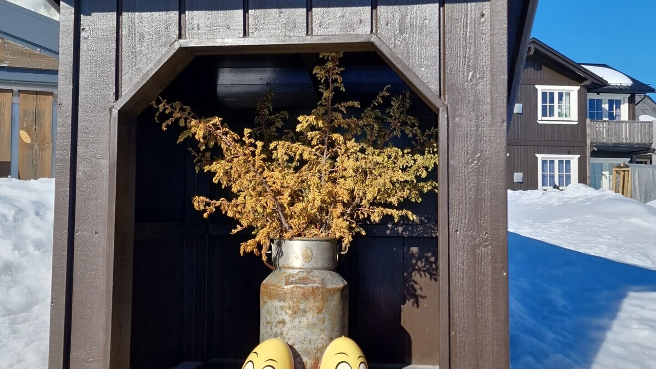 Photo of Outdoor in Kamben