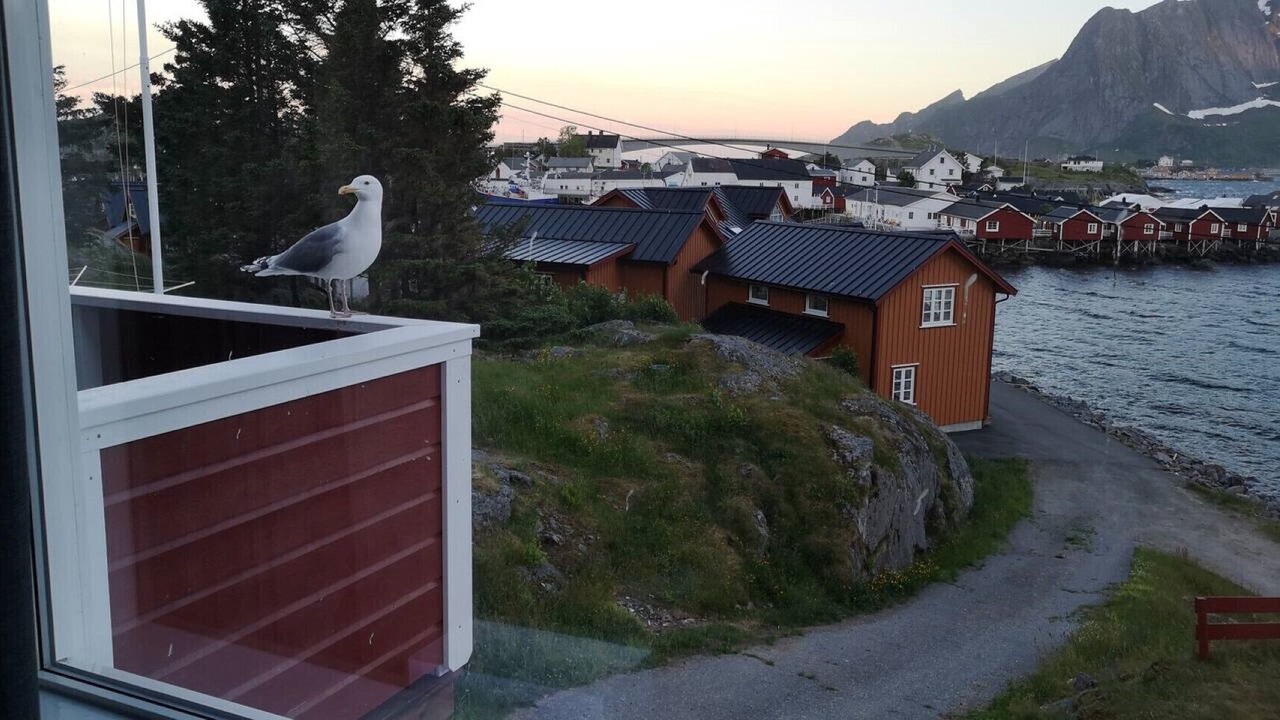 Photo of Others in Hamnøya