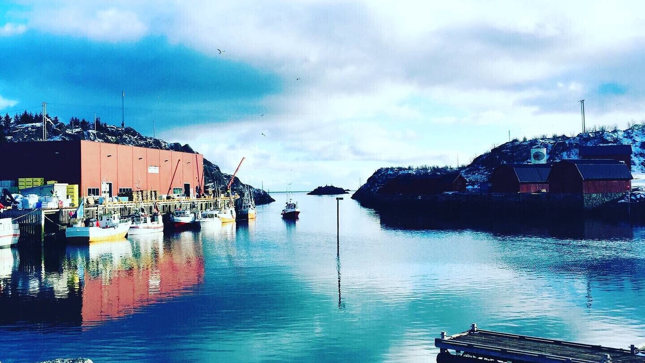 Photo of Others in Stamsund