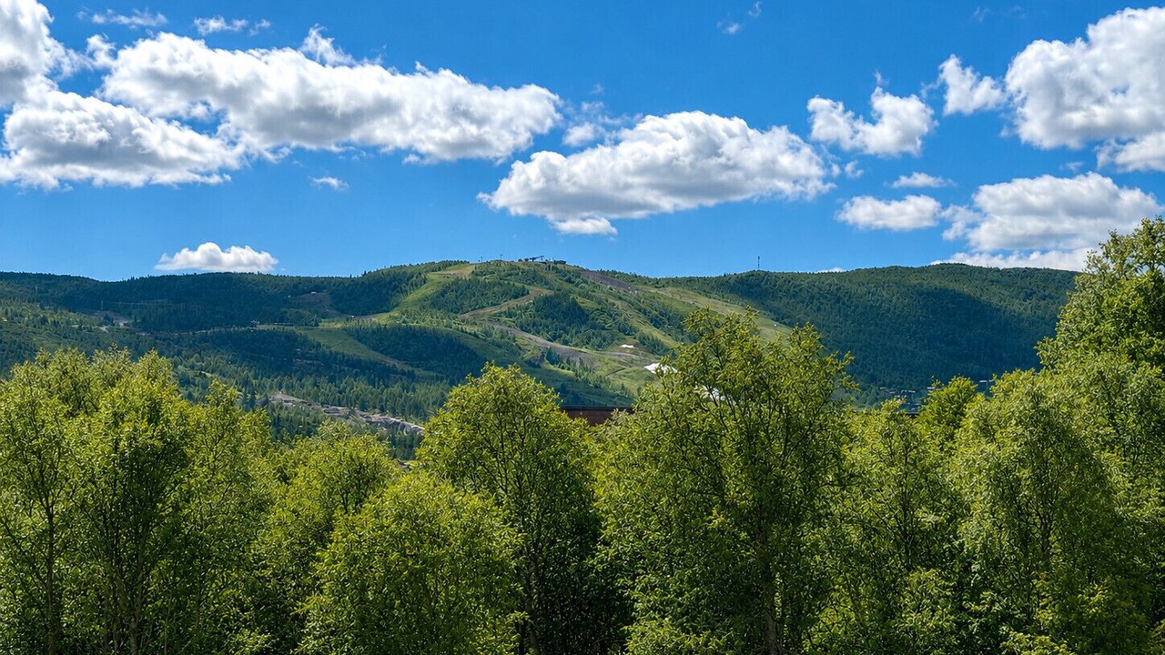 Photo of Others in Geilo