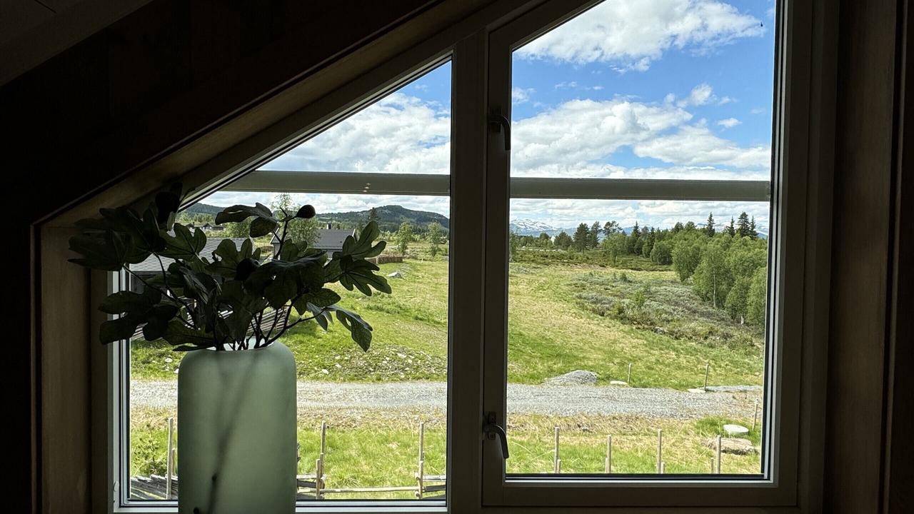 Photo of Others in Golsfjellet