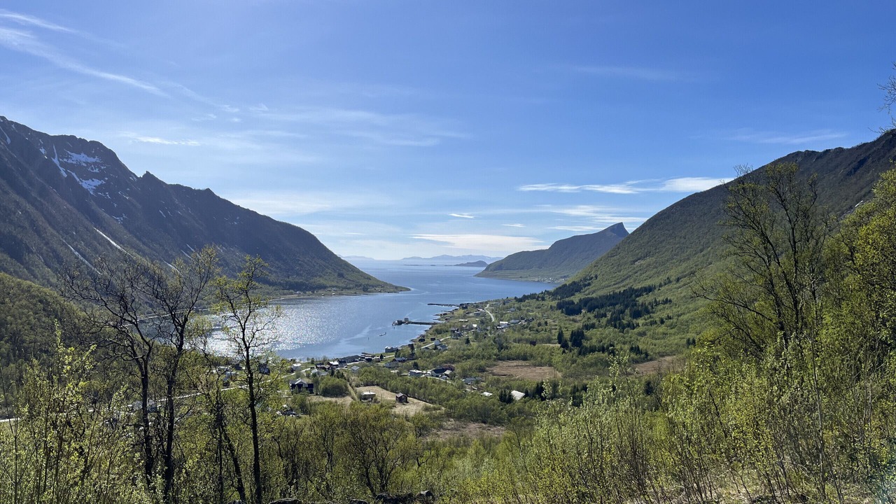 Photo of Others in Torsken