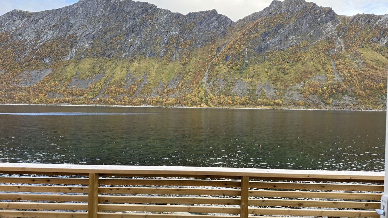 Photo of Others in Torsken