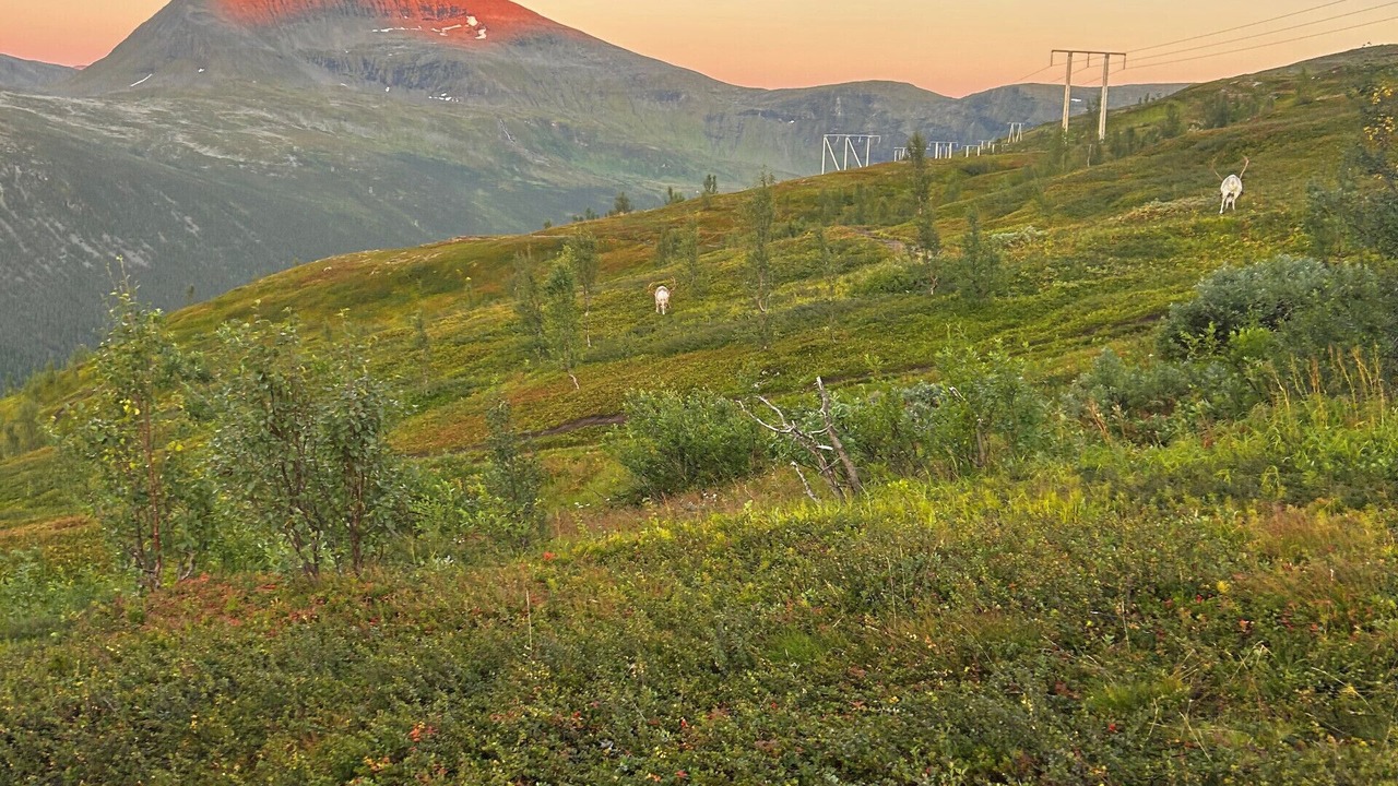 Photo of Others in Tromso