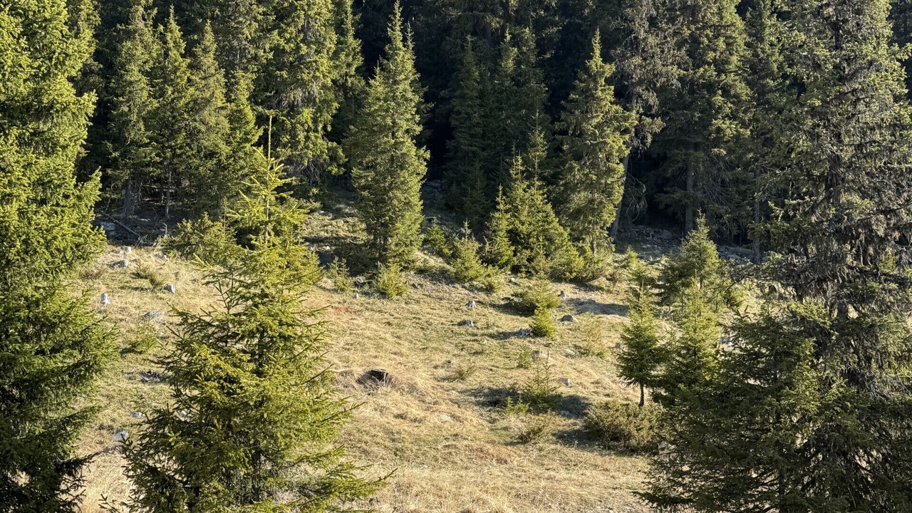 Photo of Others in Nord-Aurdal