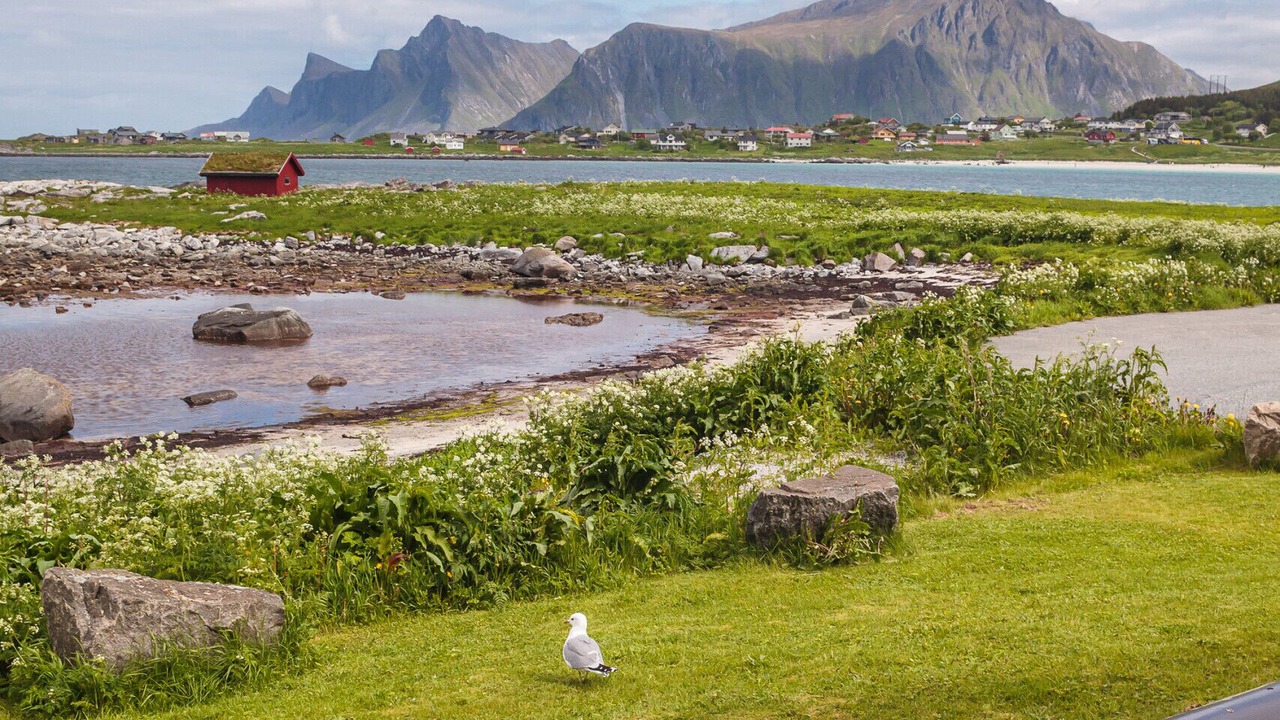 Photo of Outdoor in Flakstad