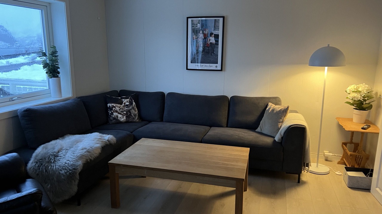 Photo of Livingroom in Moskenes