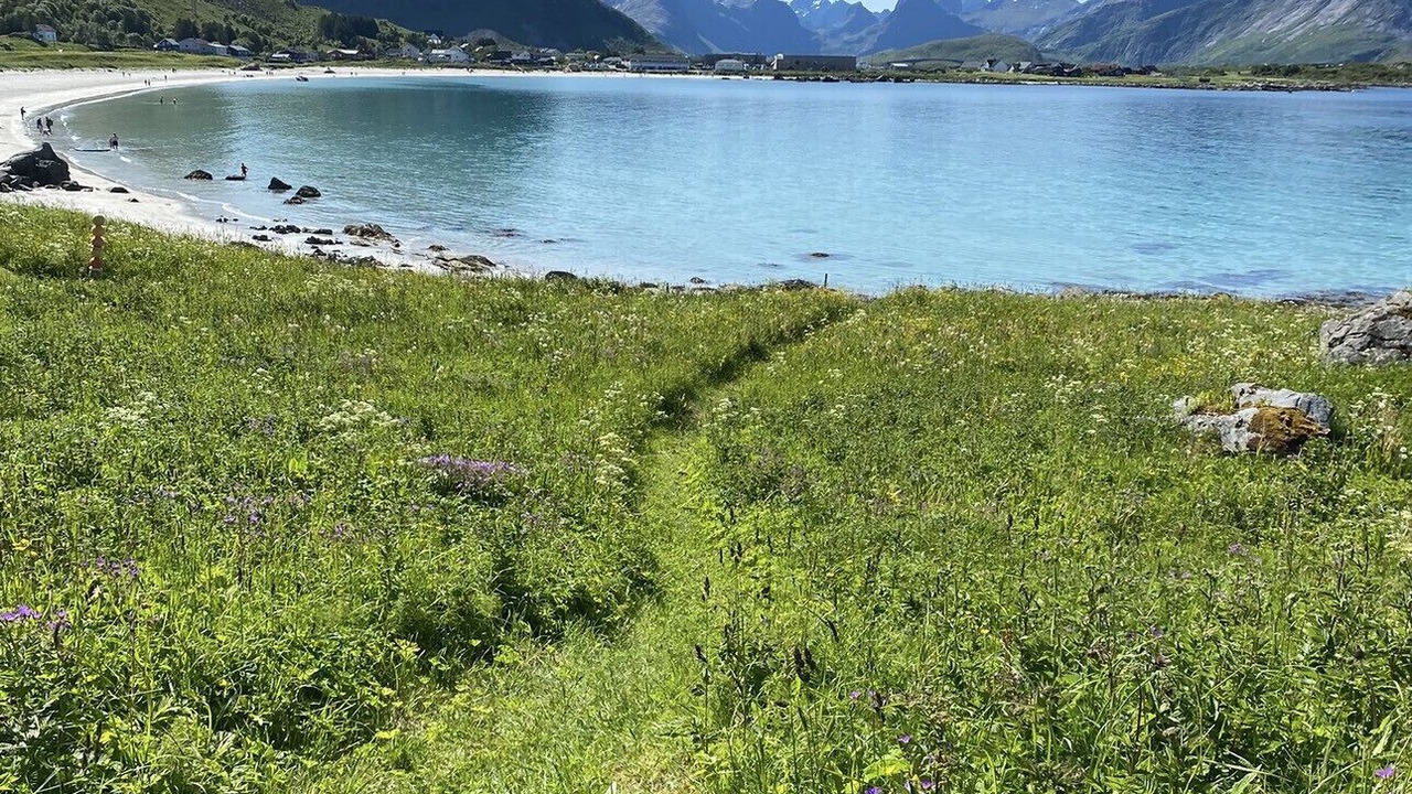 Photo of Others in Flakstad