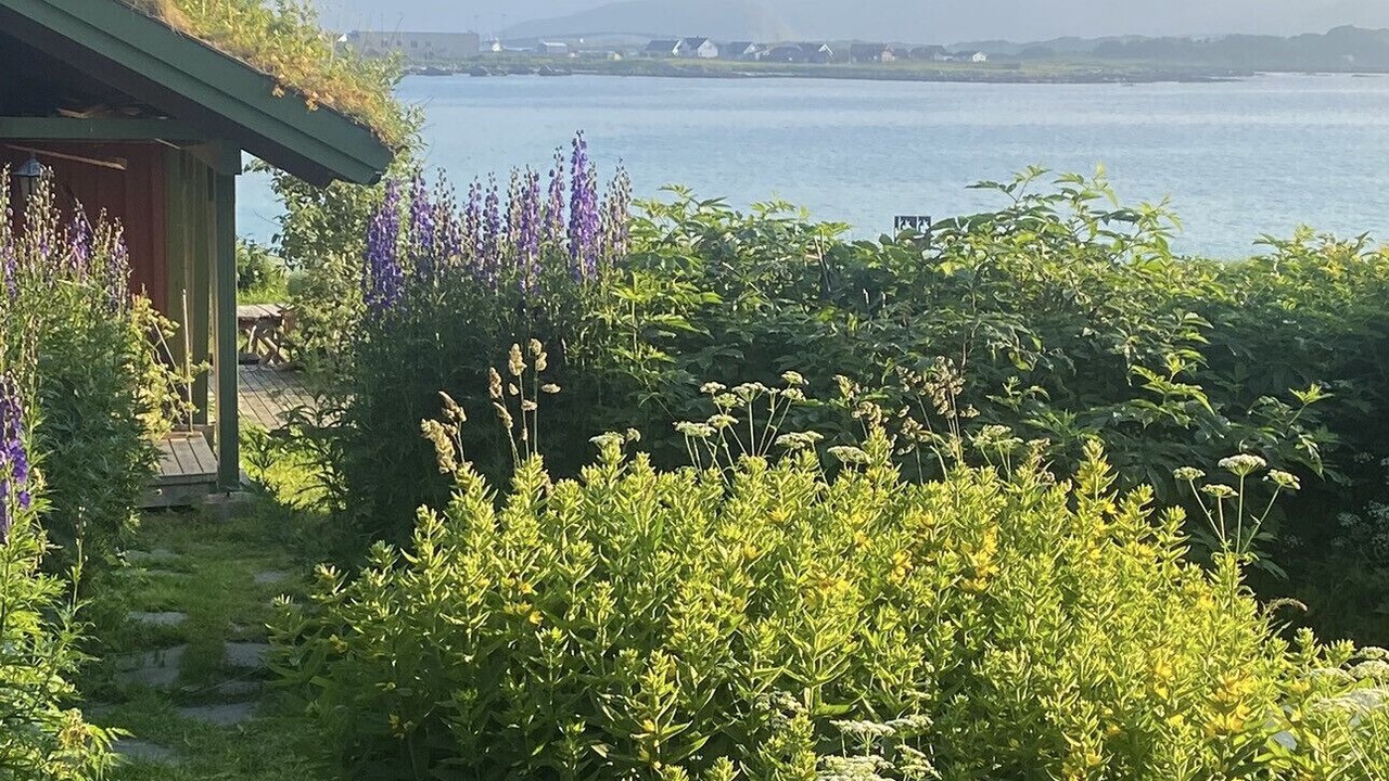 Photo of Outdoor in Flakstad