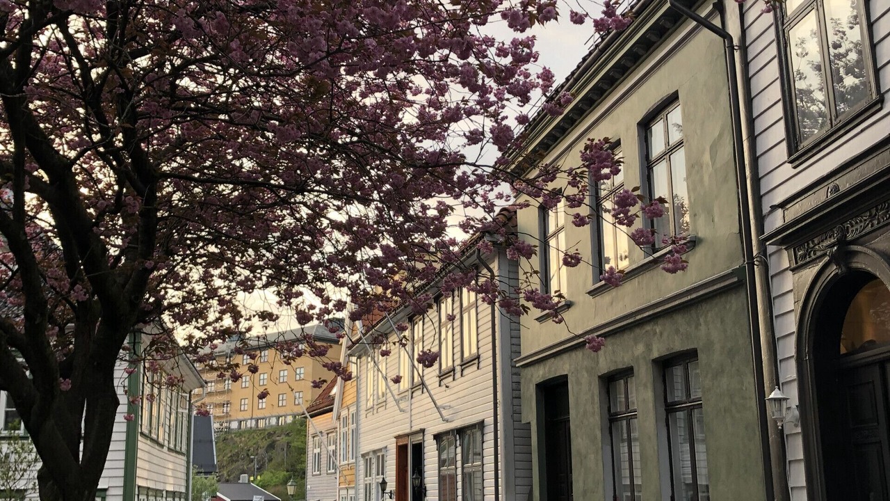 Photo of Others in Bergen City Centre