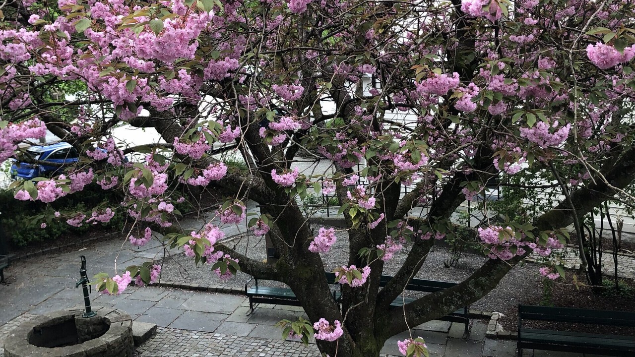 Photo of Outdoor in Bergen City Centre