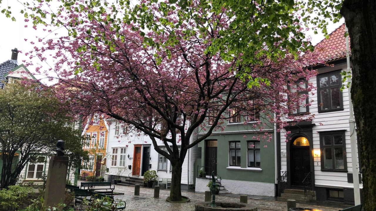 Photo of Outdoor in Bergen City Centre