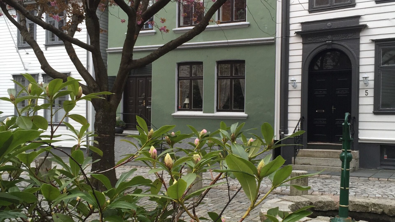 Photo of Outdoor in Bergen City Centre