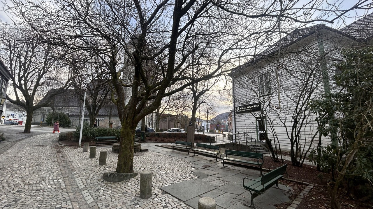 Photo of Others in Bergen City Centre