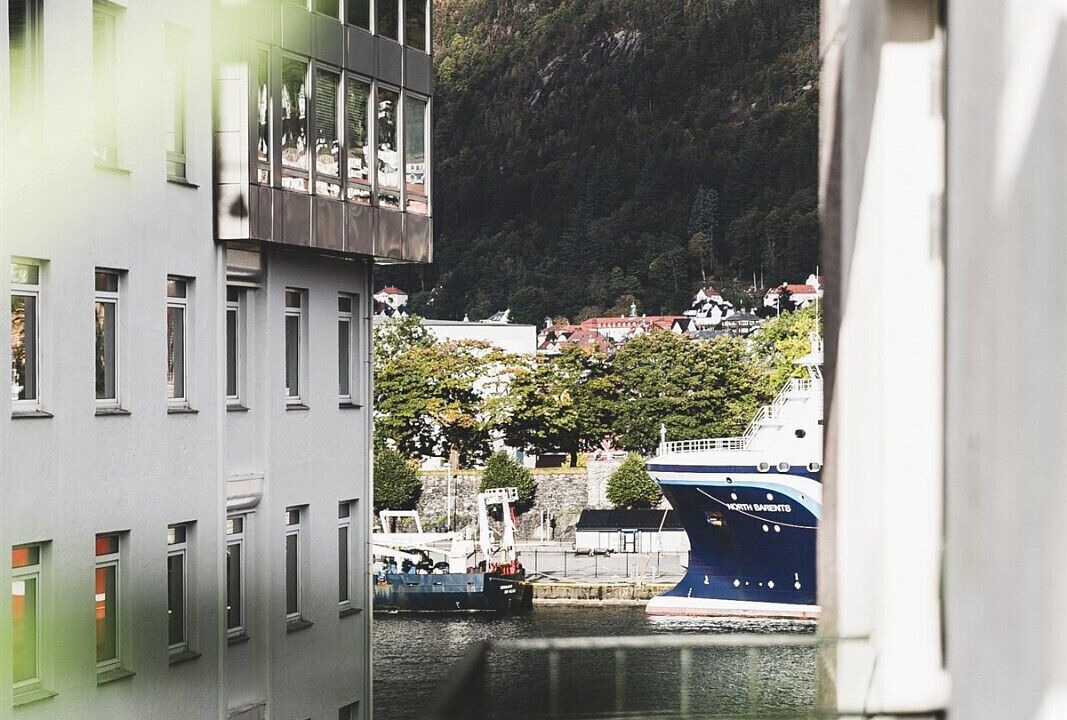 Photo of Others in Bergen City Centre