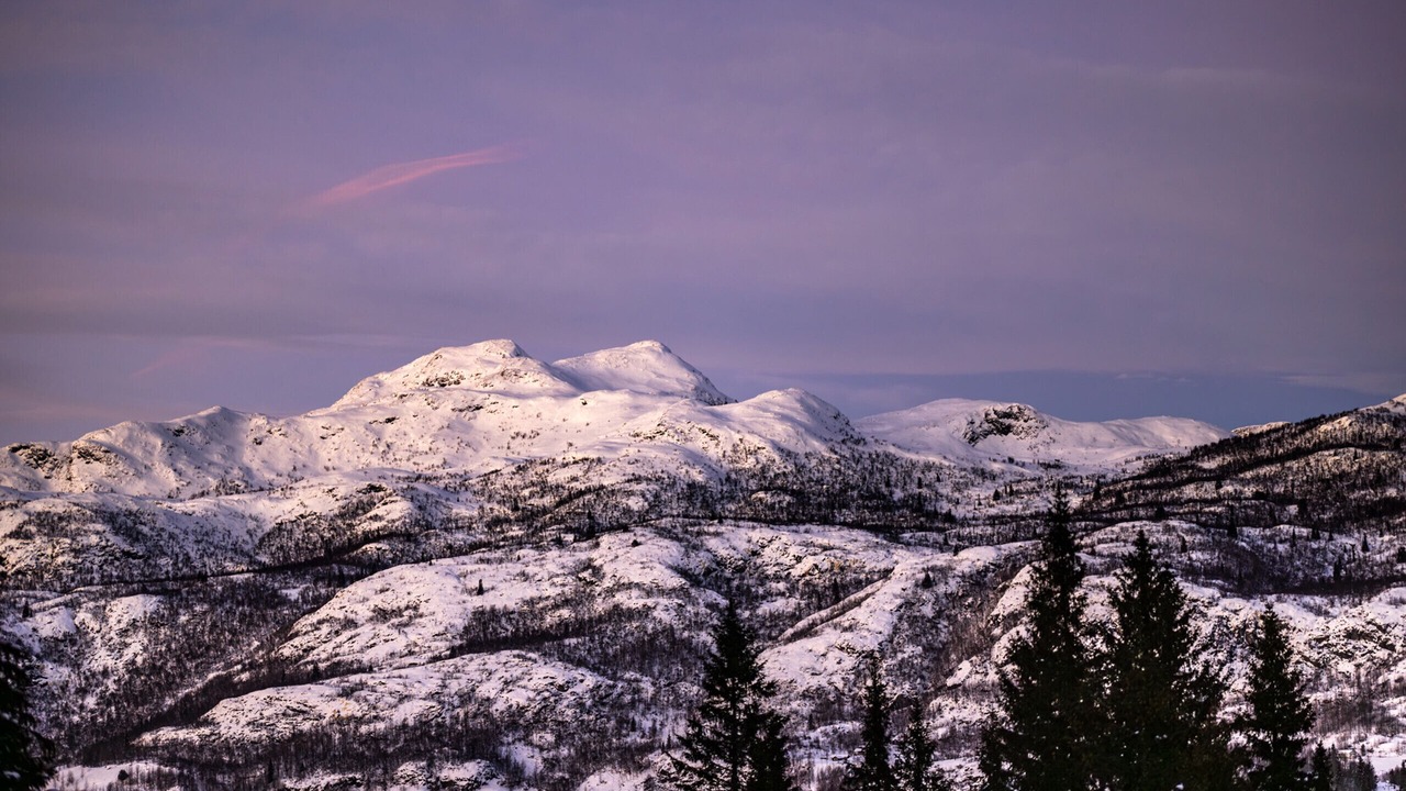 Photo of Others in Hemsedal