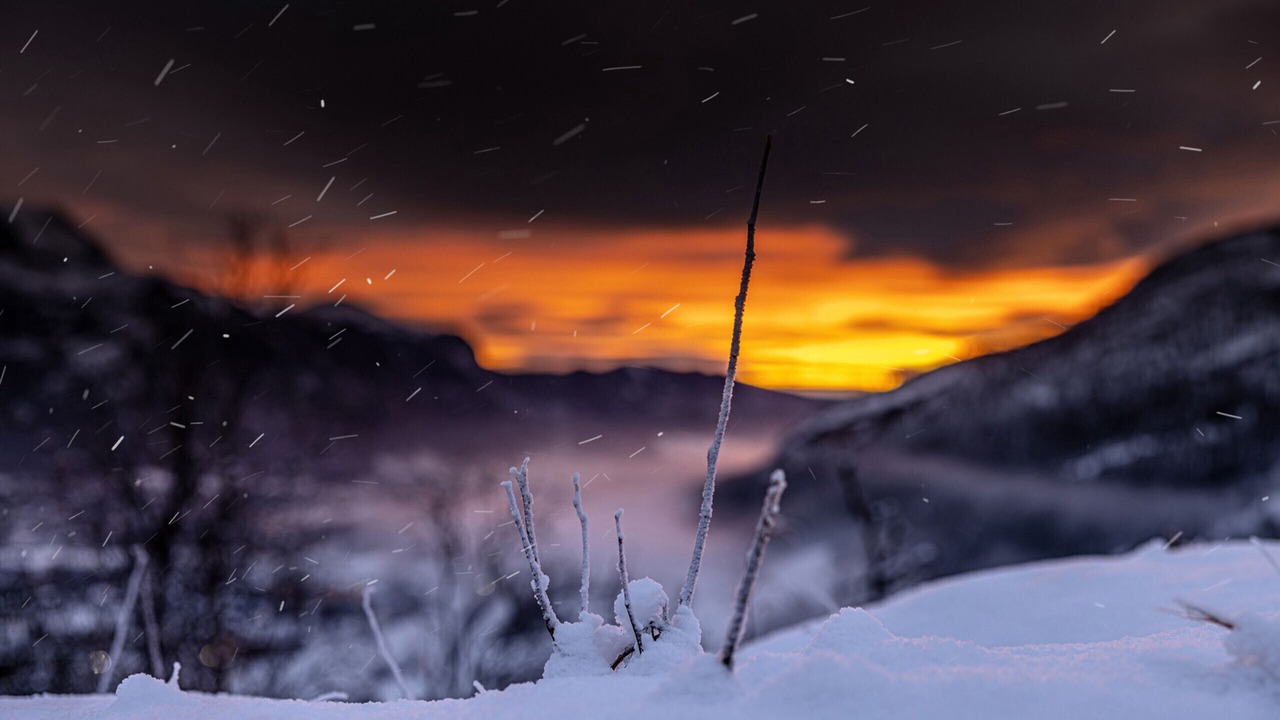 Photo of Others in Hemsedal