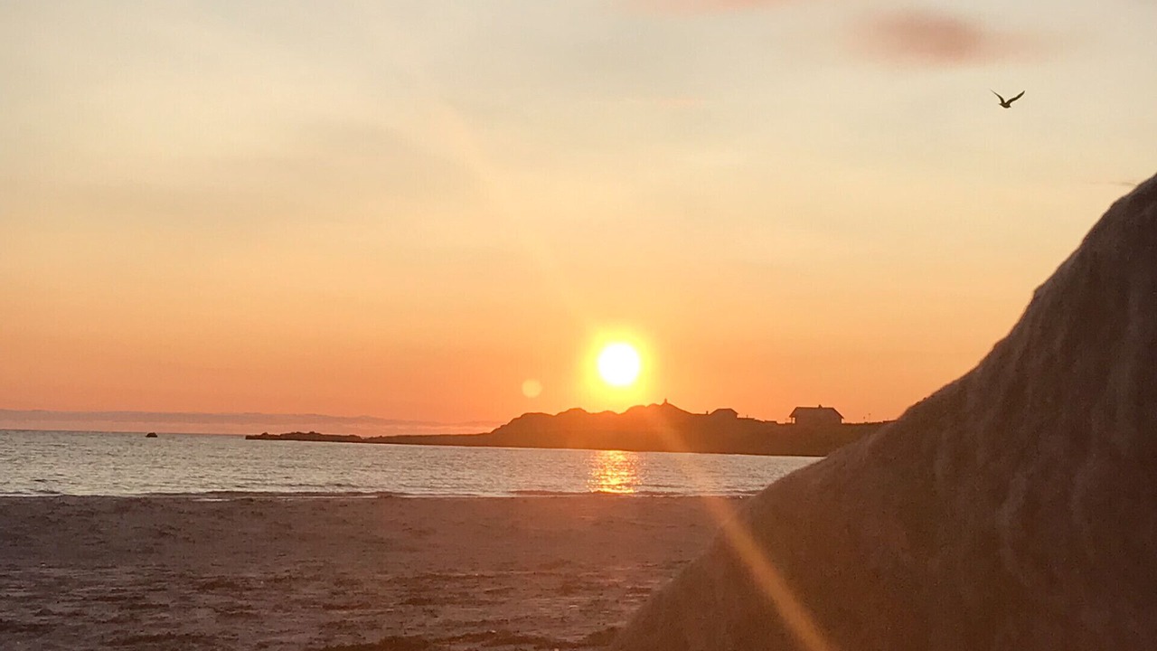 Photo of Others in Flakstad