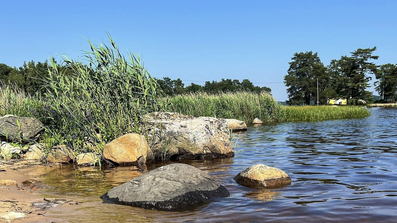 Photo of Others in Mollebjorke