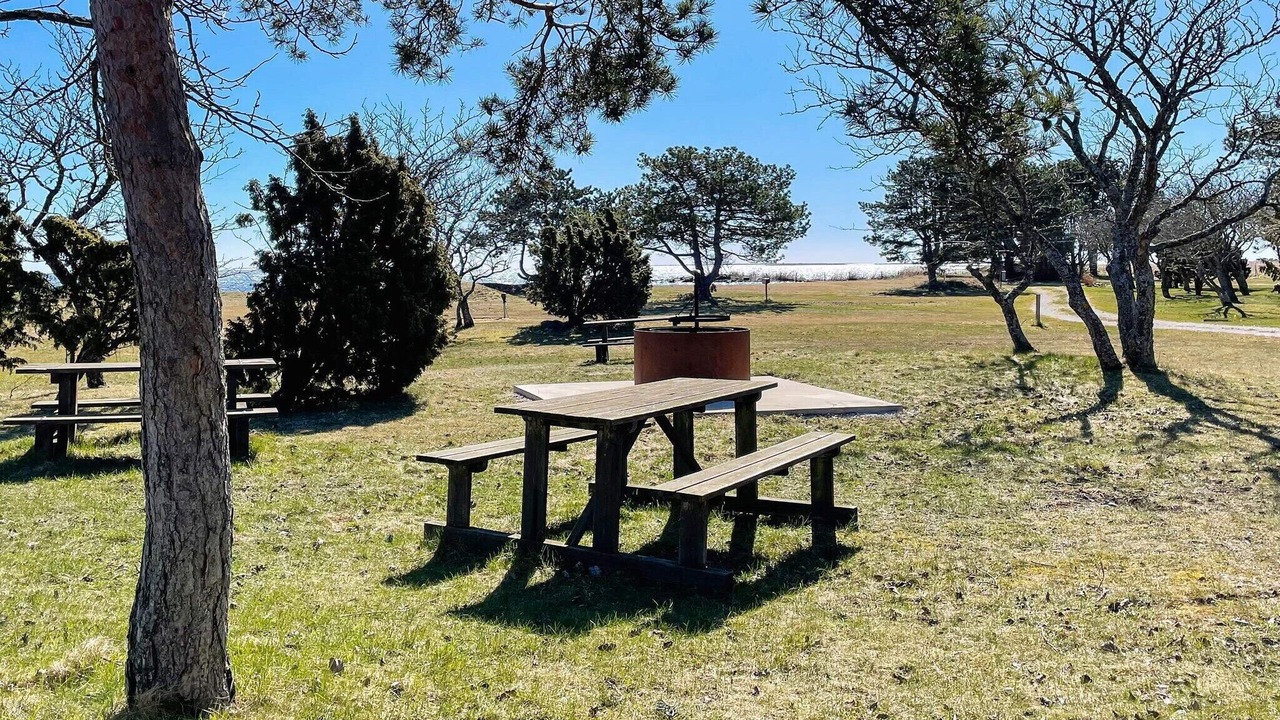 Photo of Outdoor in Hemse
