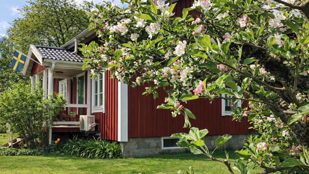 Photo of Others in Holm