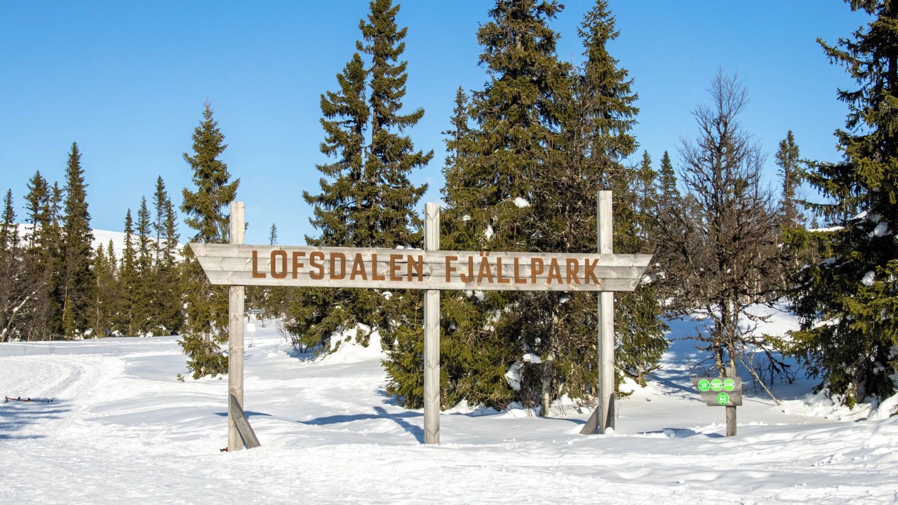 Photo of Others in Lofsdalen