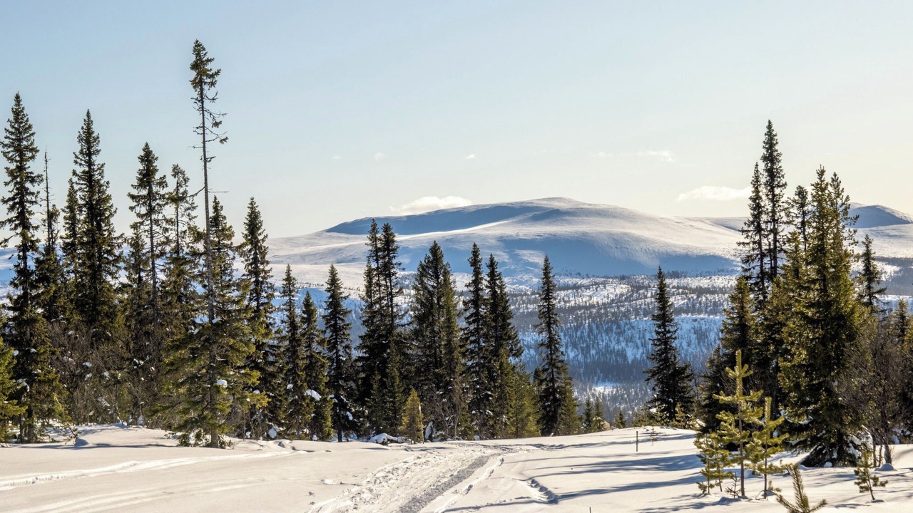 Photo of Others in Lofsdalen