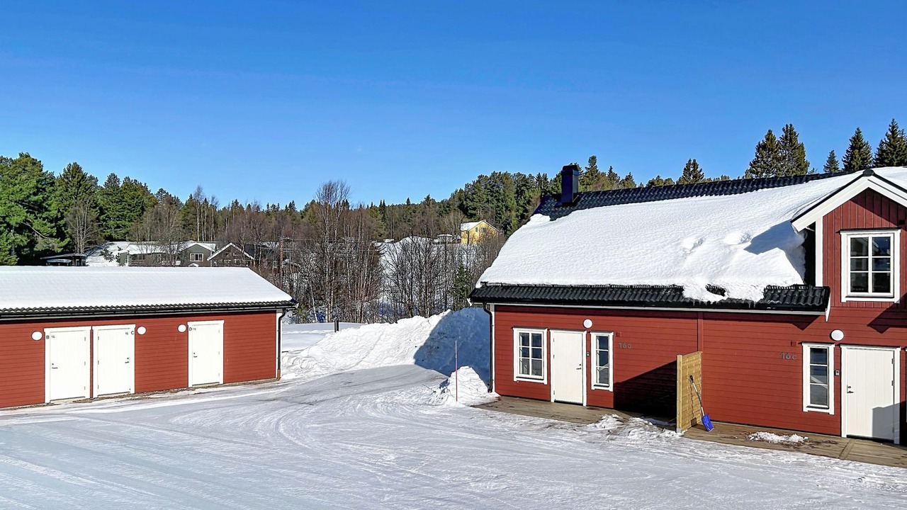 Photo of Others in Lofsdalen