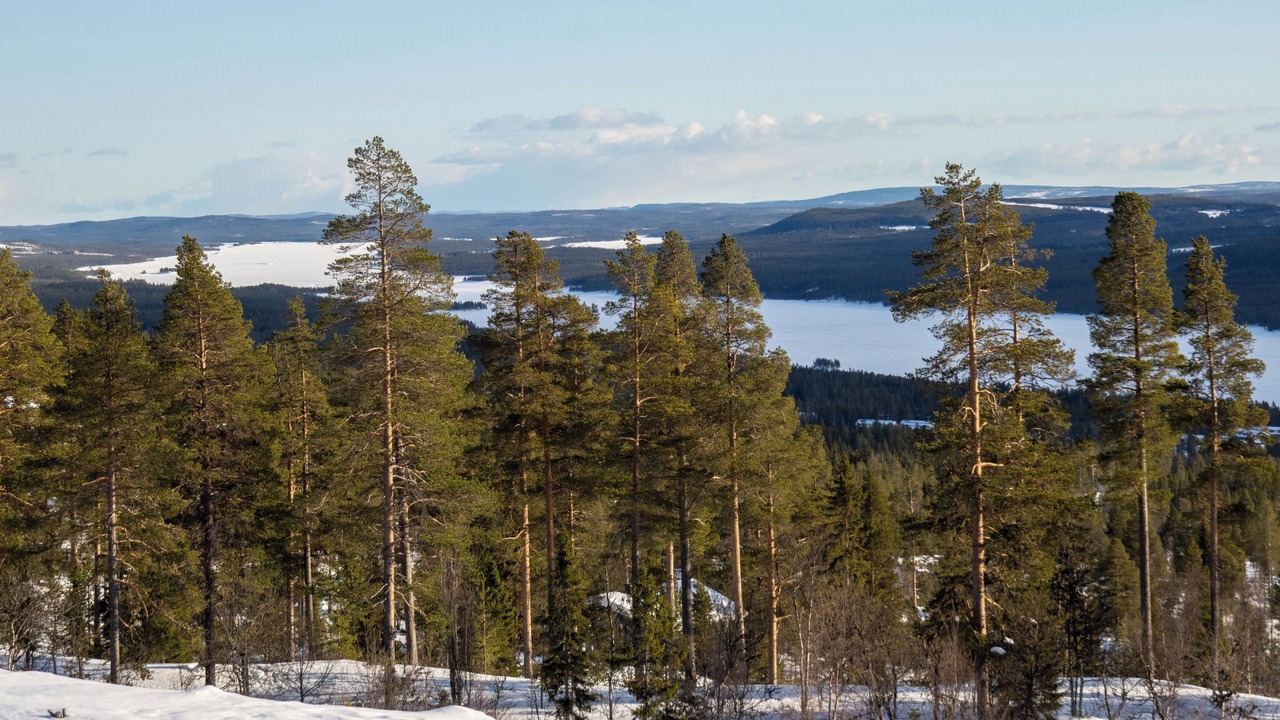 Photo of Others in Lofsdalen