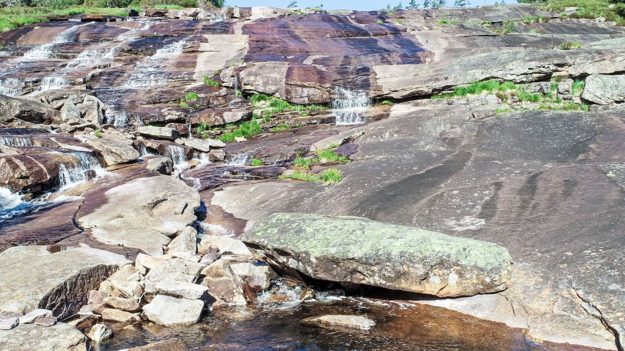 Photo of Others in Aseral