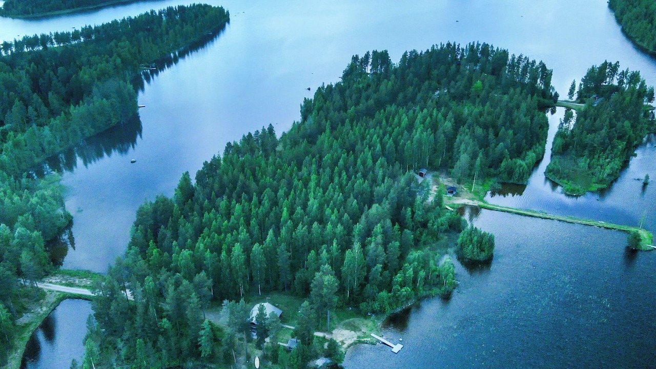 Photo of Others in Pertunmaa