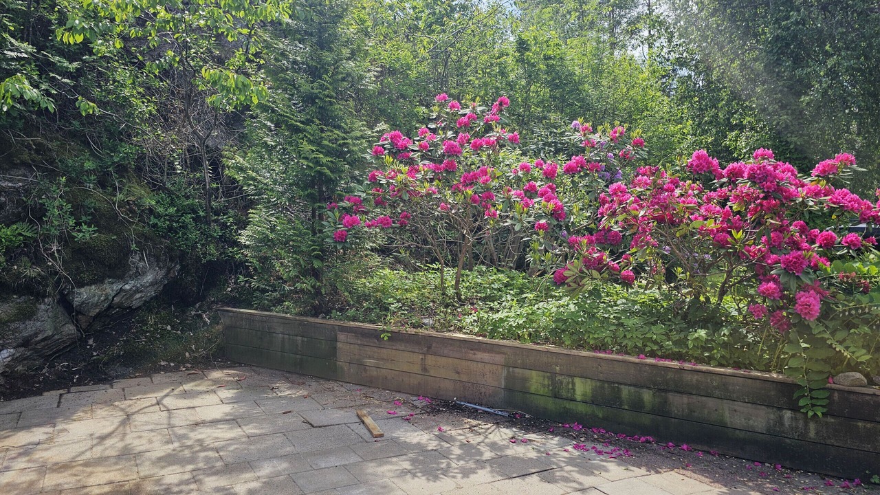 Photo of Outdoor in Varekil