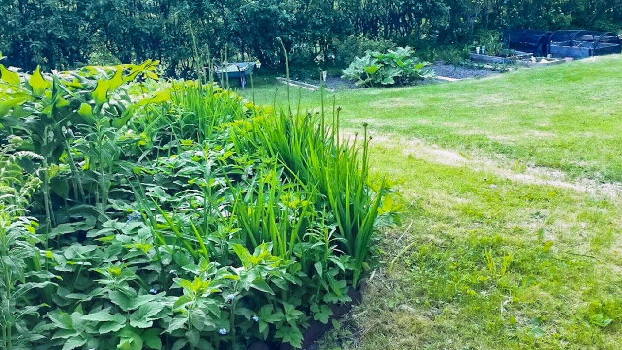 Photo of Outdoor in Karna