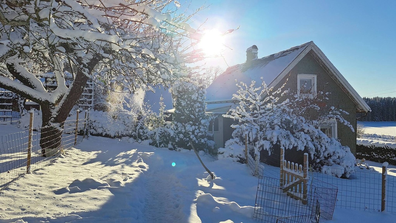 Photo of Outdoor in Jamshog