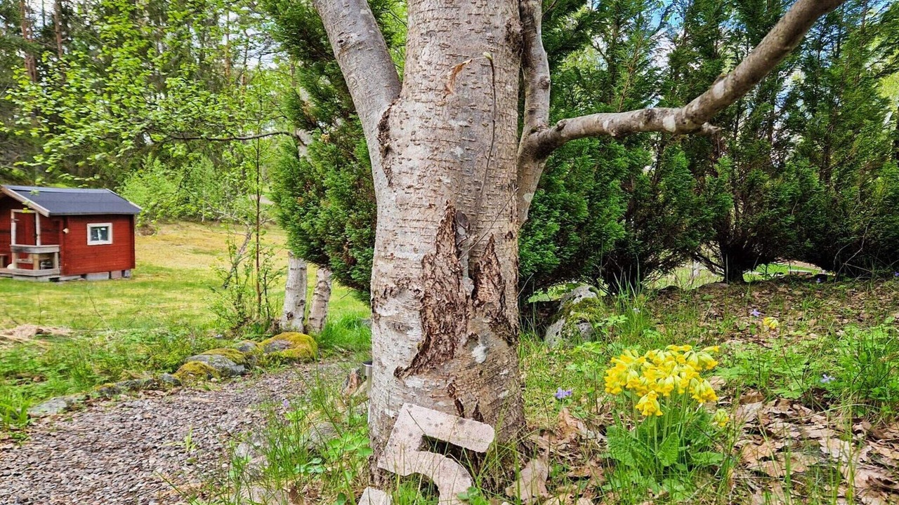 Photo of Outdoor in Mariefred