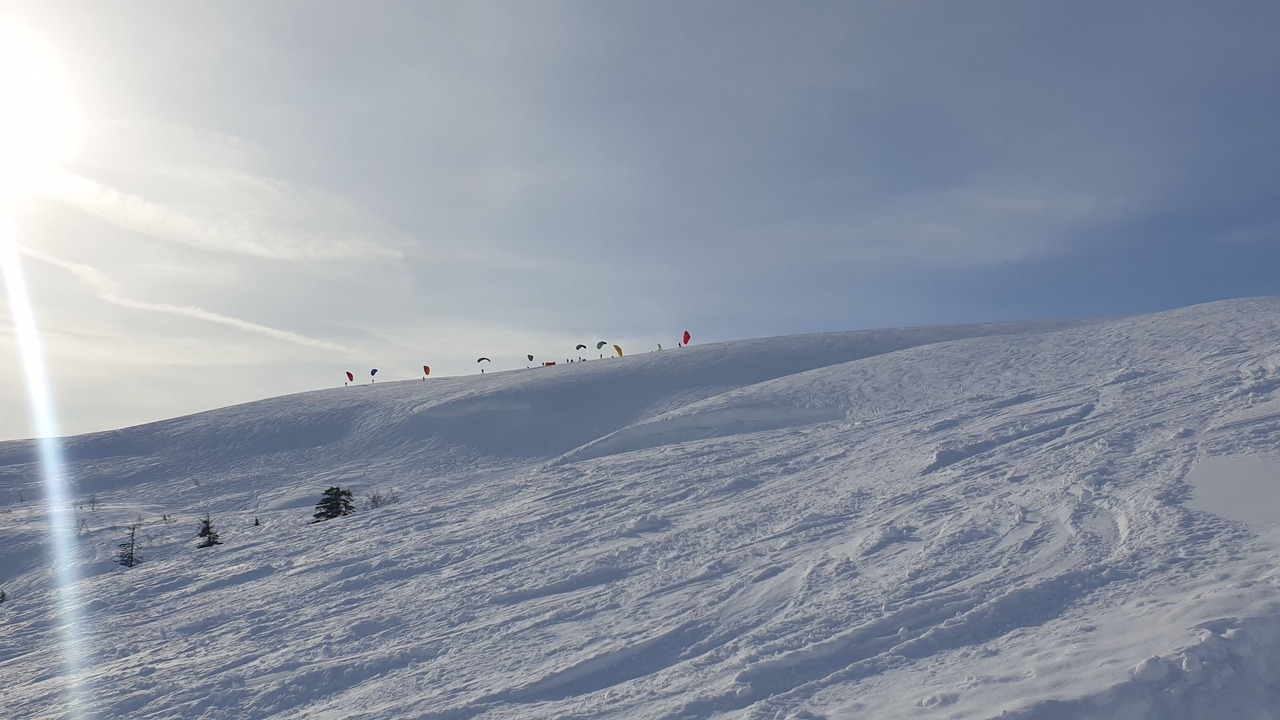 Photo of Others in Skulestad