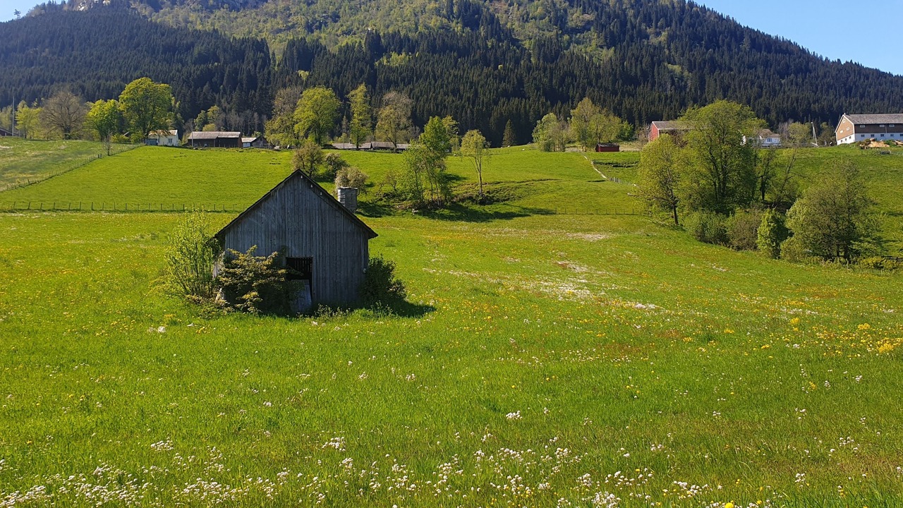 Photo of Others in Skulestad