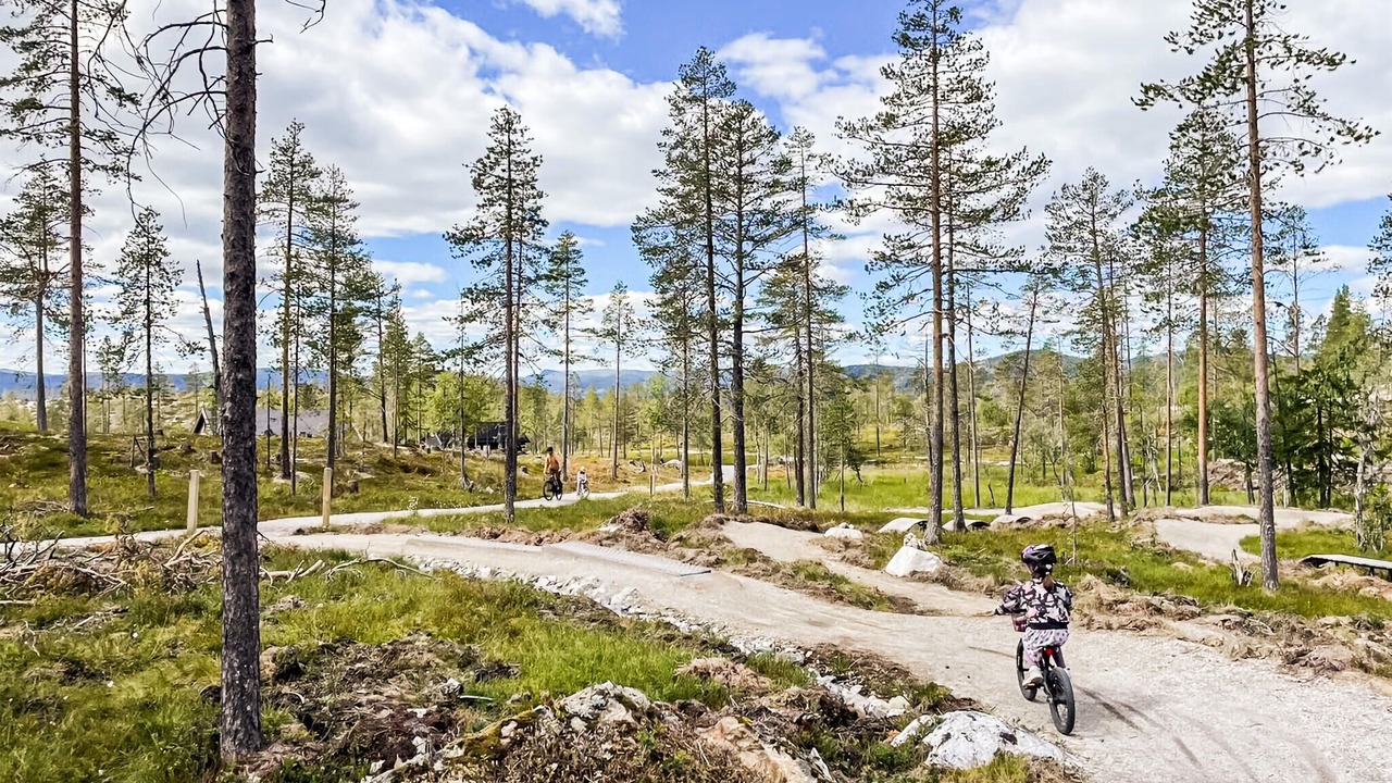 Photo of Others in Vikberget