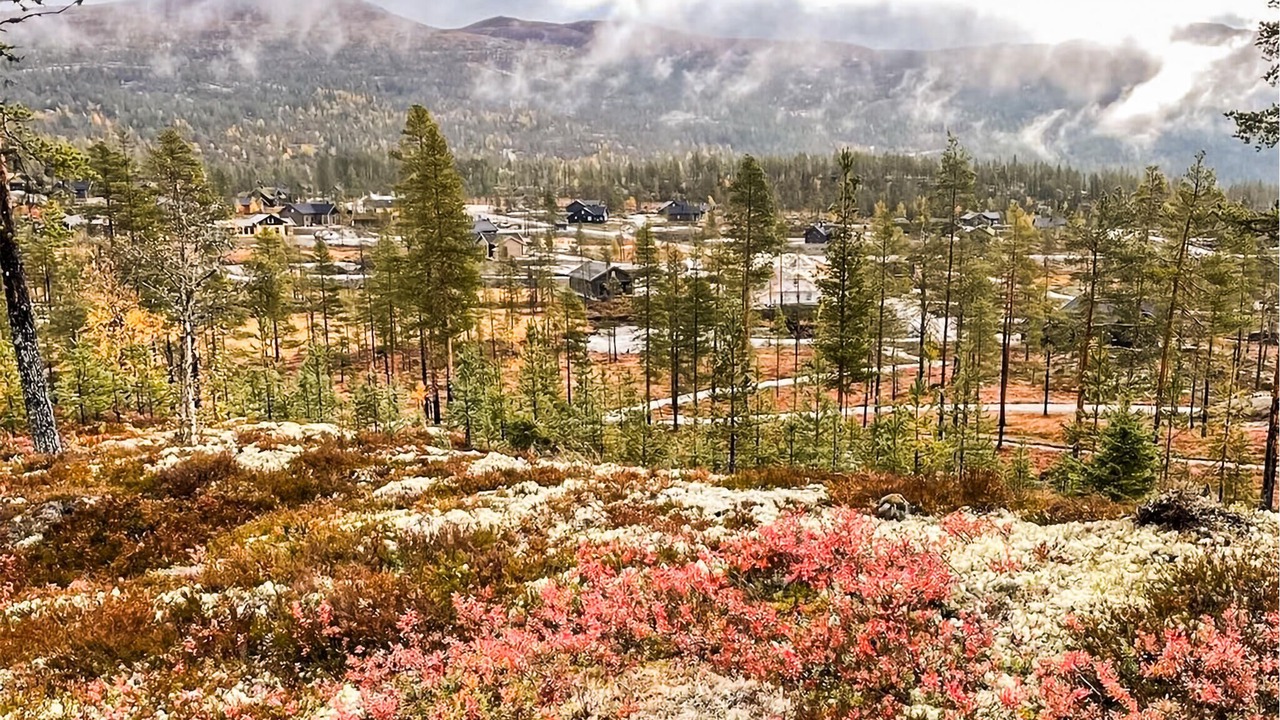 Photo of Others in Vikberget