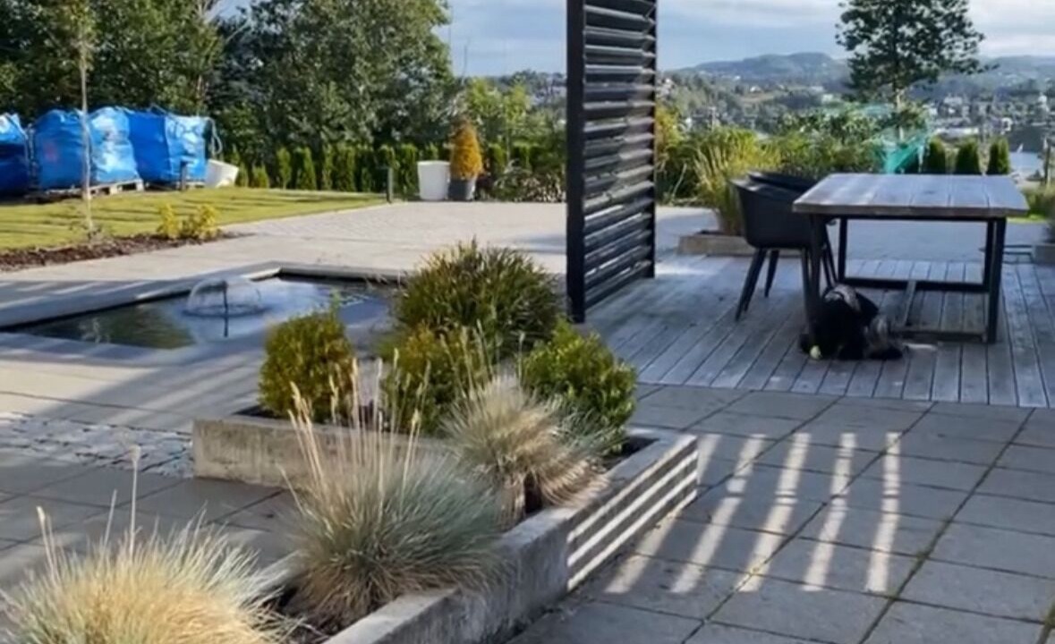 Photo of Outdoor in Laksevag