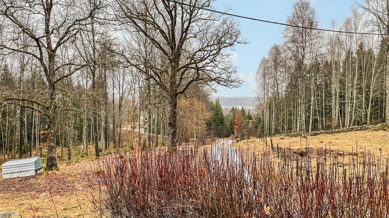 Photo of Others in Boras Municipality