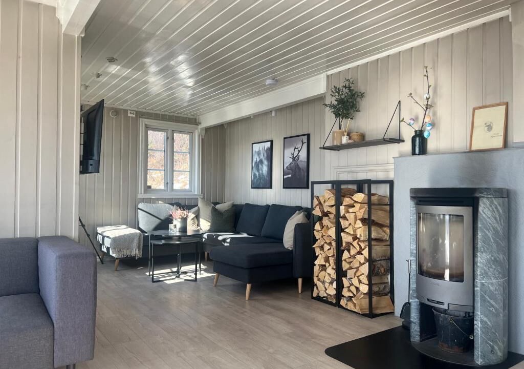 Photo of Livingroom in Sortland