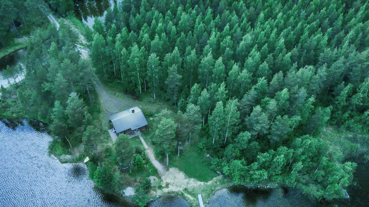 Photo of Others in Pertunmaa