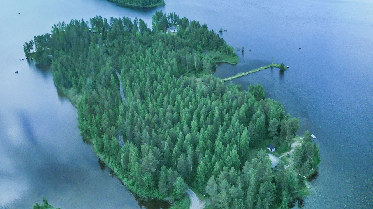 Photo of Others in Pertunmaa