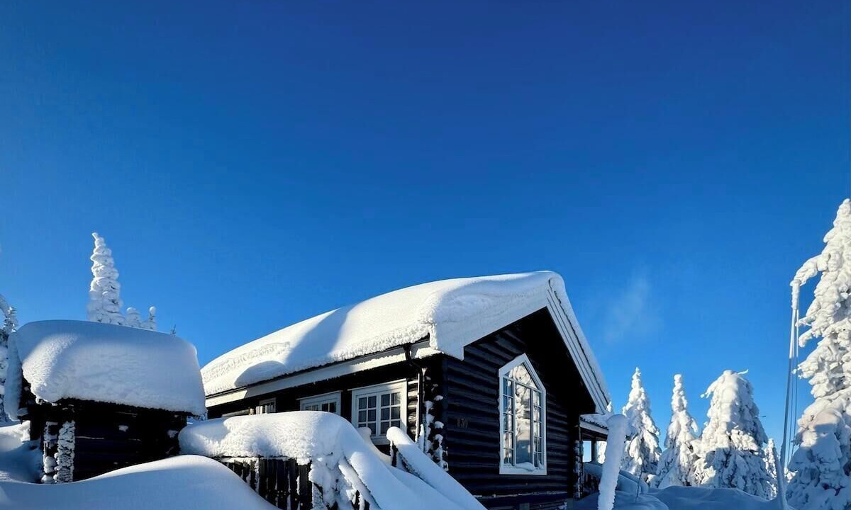 Photo of Outdoor in Oyer